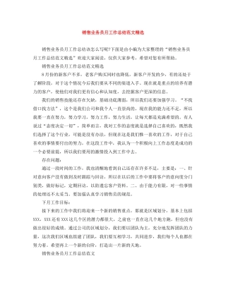 销售业务员月工作总结范文精选