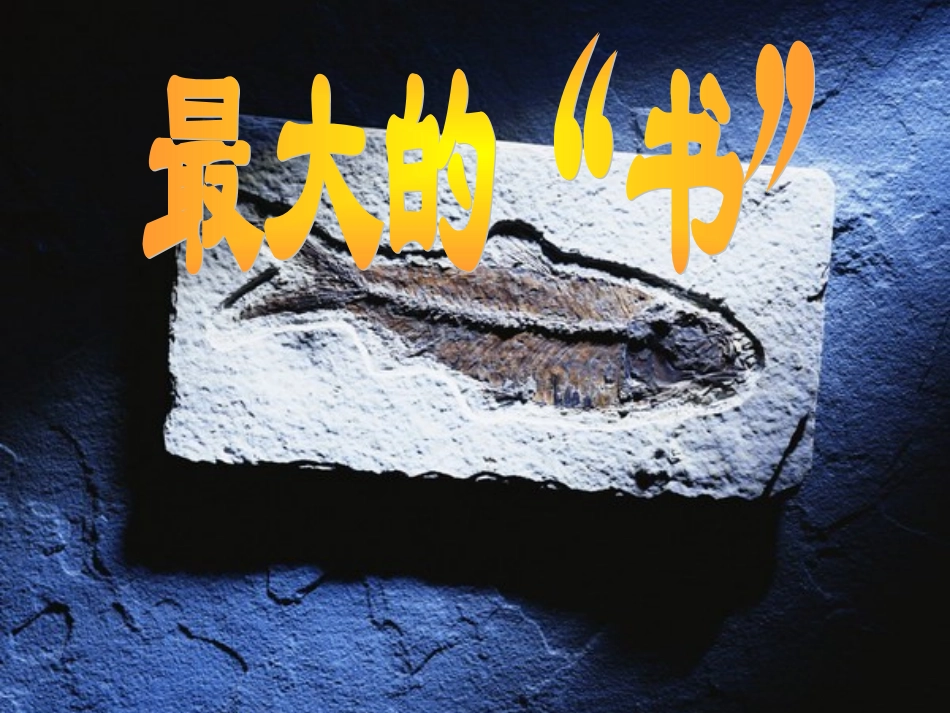 最大的“书”8_第1页