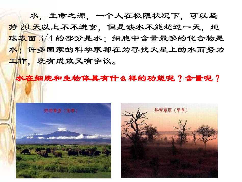 细胞中的无机物_第1页