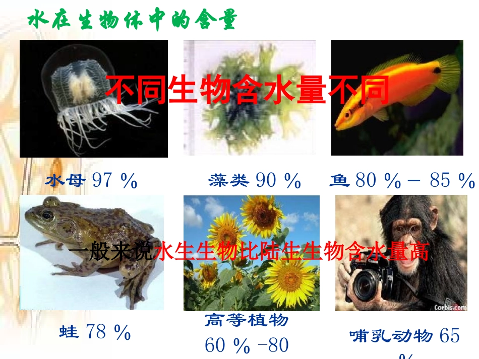 细胞中的无机物_第2页
