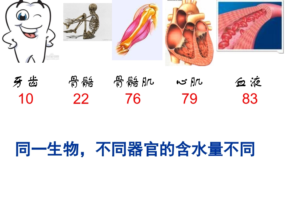 细胞中的无机物_第3页