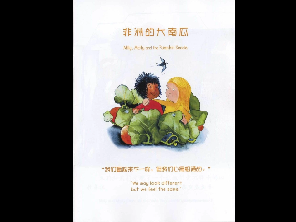 非洲的大南瓜_第2页