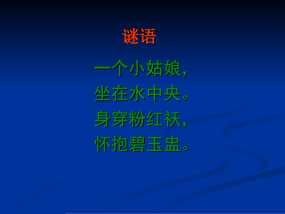 《荷花》PPT课件_第2页