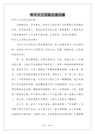 吹牛大王历险记读后感