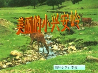 小学三年级上册语文第二十三课美丽的小兴安岭PPT课件2