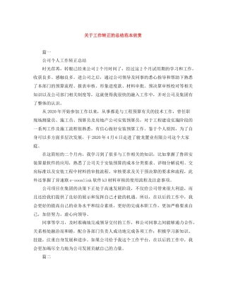 关于工作转正的总结范本欣赏