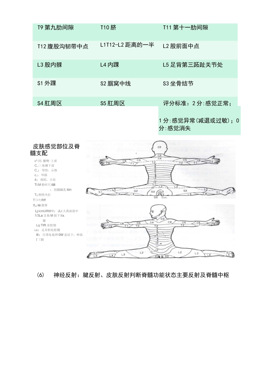 脊髓损伤的评定_第2页