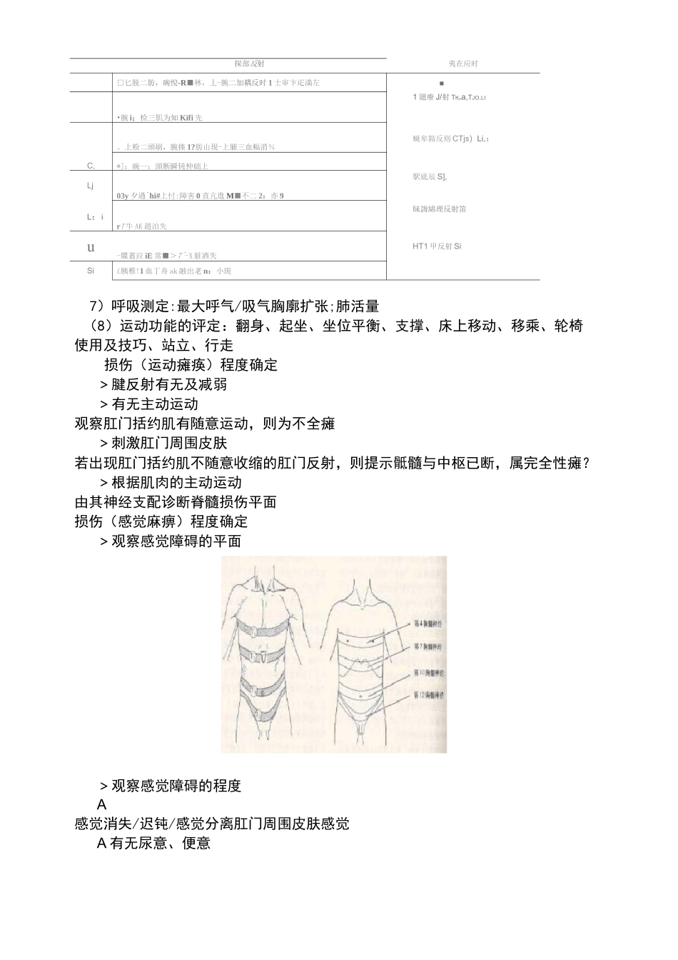 脊髓损伤的评定_第3页