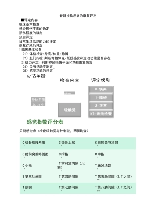 脊髓损伤的评定