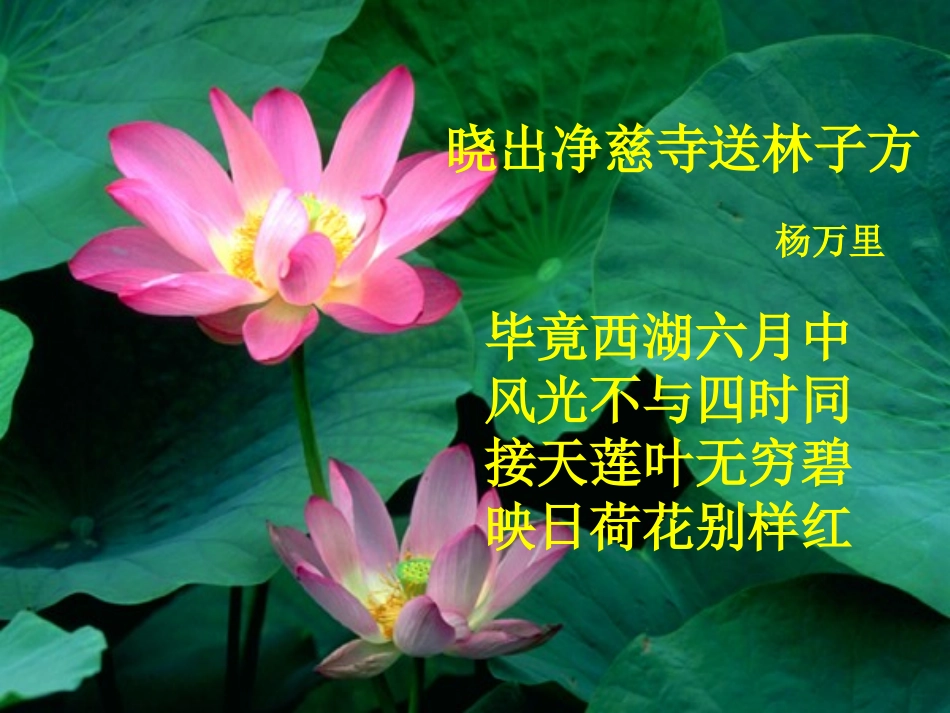 《荷塘月色》教学课件_第2页