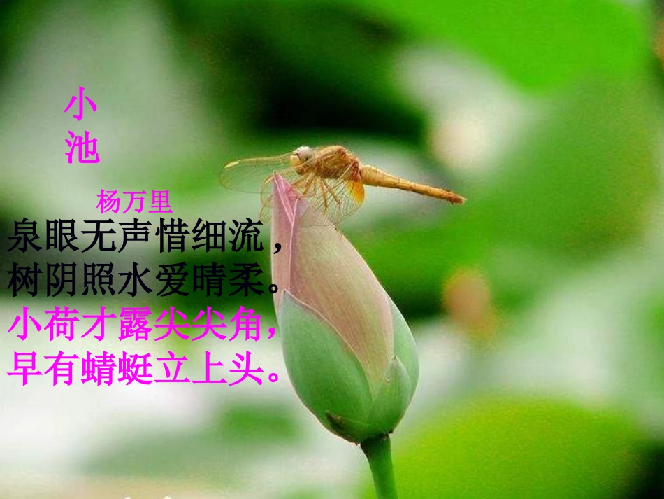 《荷塘月色》教学课件_第3页