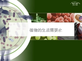 第三单元第三章第一节绿色植物的生活需要水