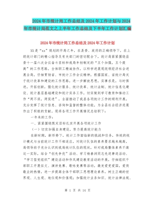 2024年市统计局工作总结及2024年工作计划与2024年市统计局范文之上半年工作总结及下半年工作计划汇编