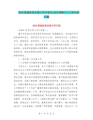 2024采油队党支部工作计划与2024采购个人工作计划汇编