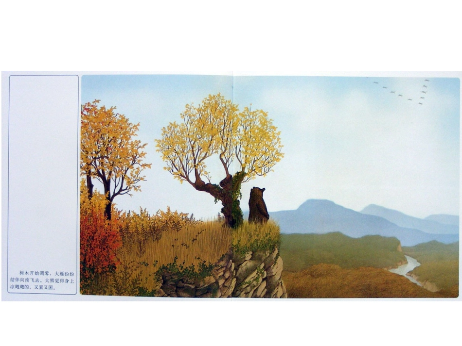 绘本《森林大熊》_第2页