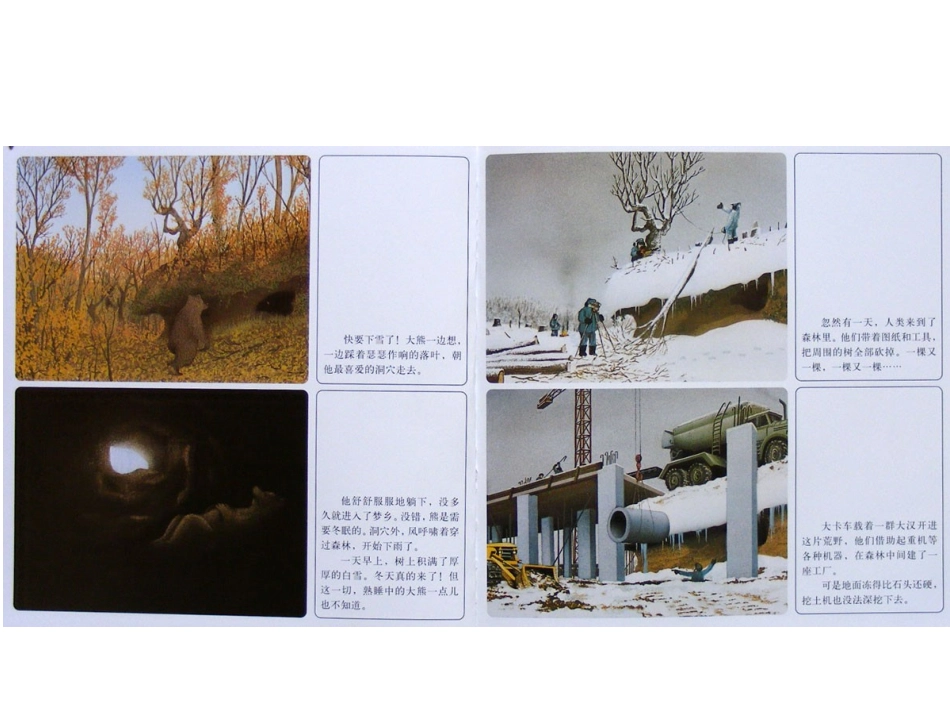 绘本《森林大熊》_第3页