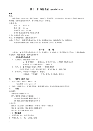 细胞骨架细胞连接