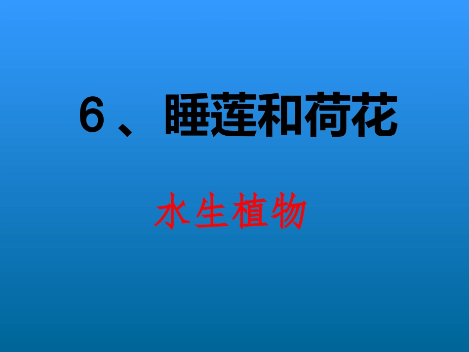 睡莲和荷花课件_第1页
