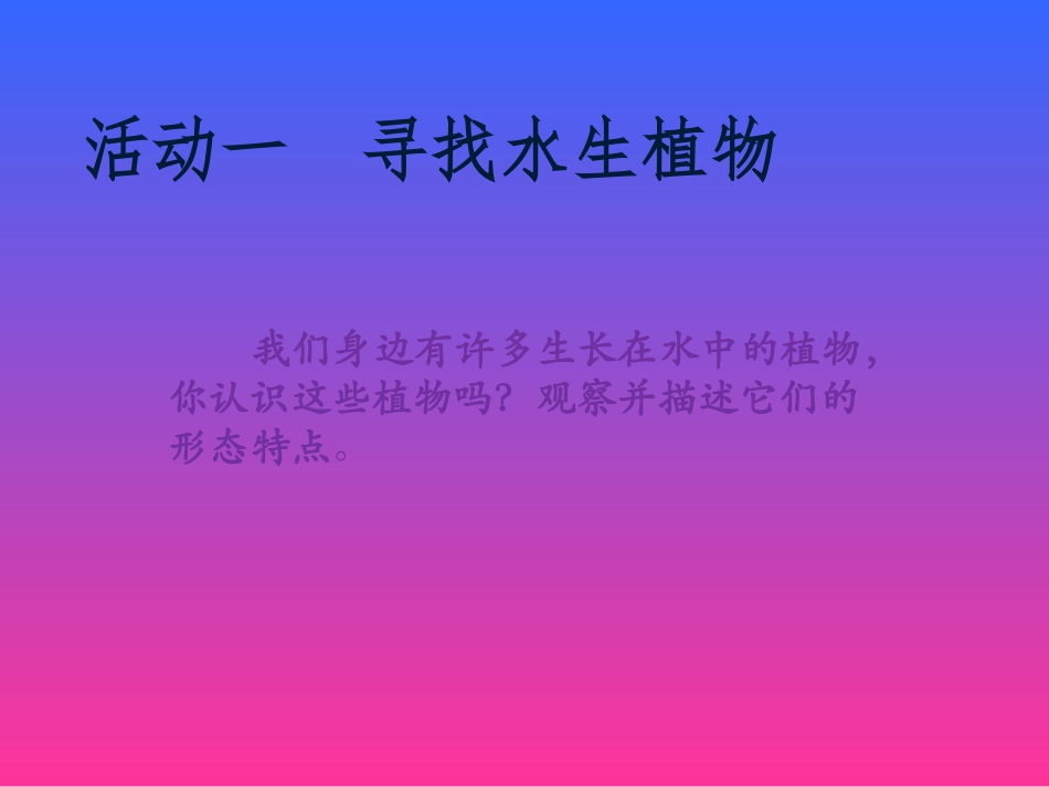 睡莲和荷花课件_第2页