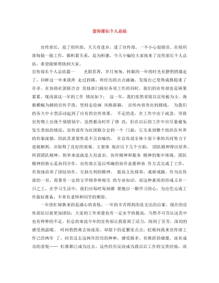 宣传部长个人总结 