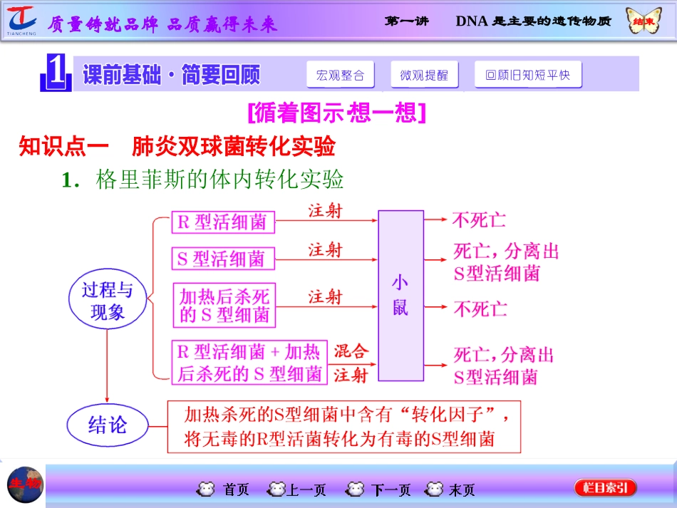 第一讲DNA是主要的遗传物质_第2页