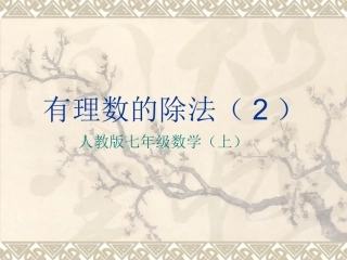 有理数的除法（2
