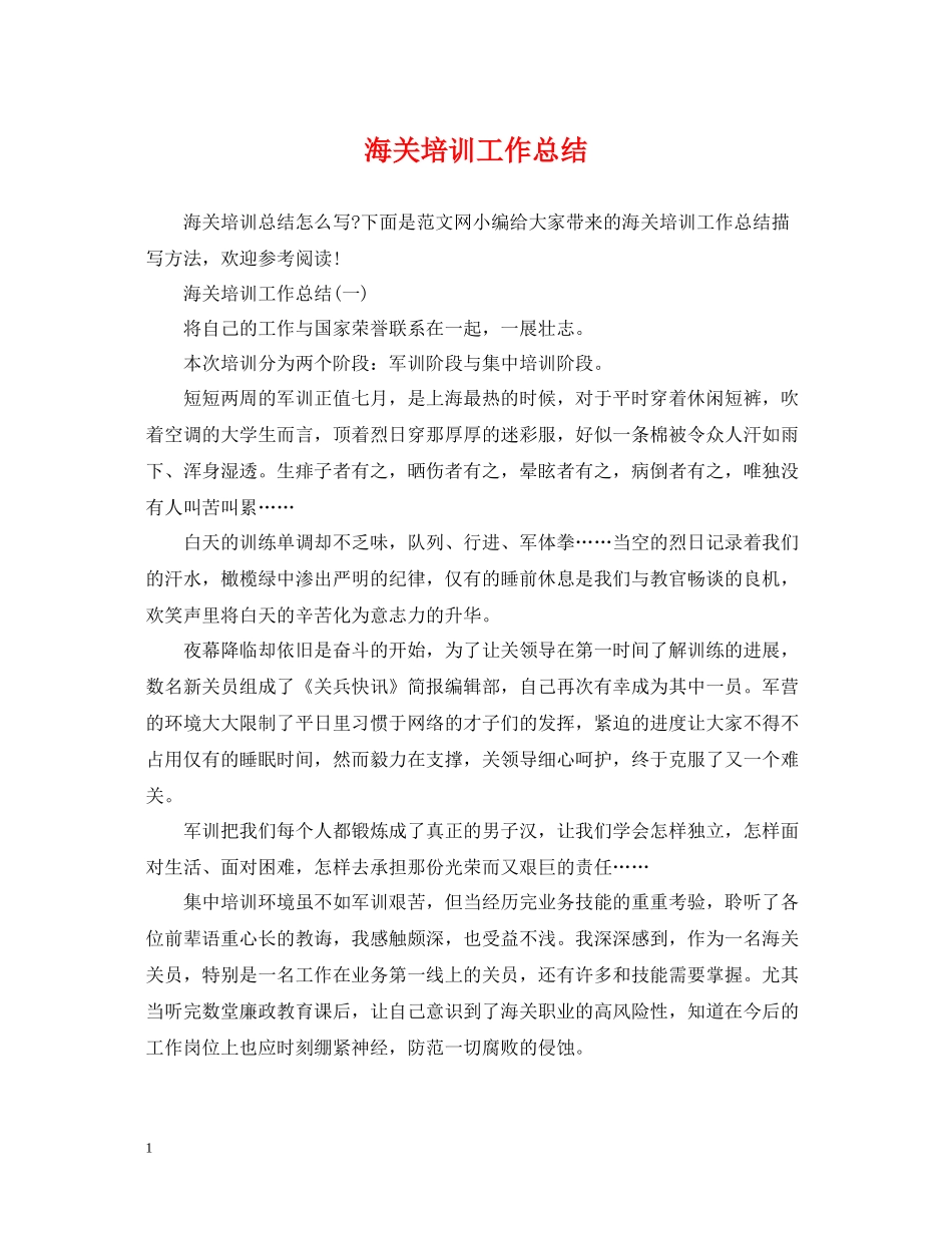 海关培训工作总结_第1页