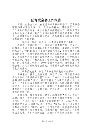 区青联全会工作报告