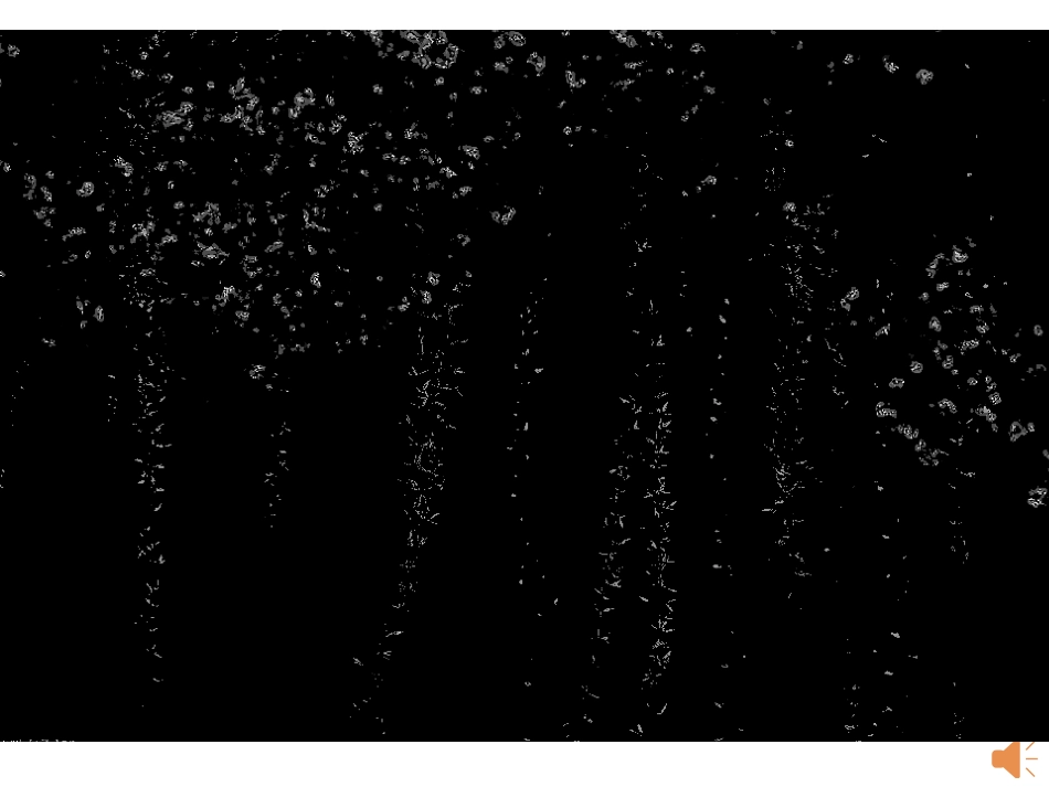 触摸春天课件_第2页