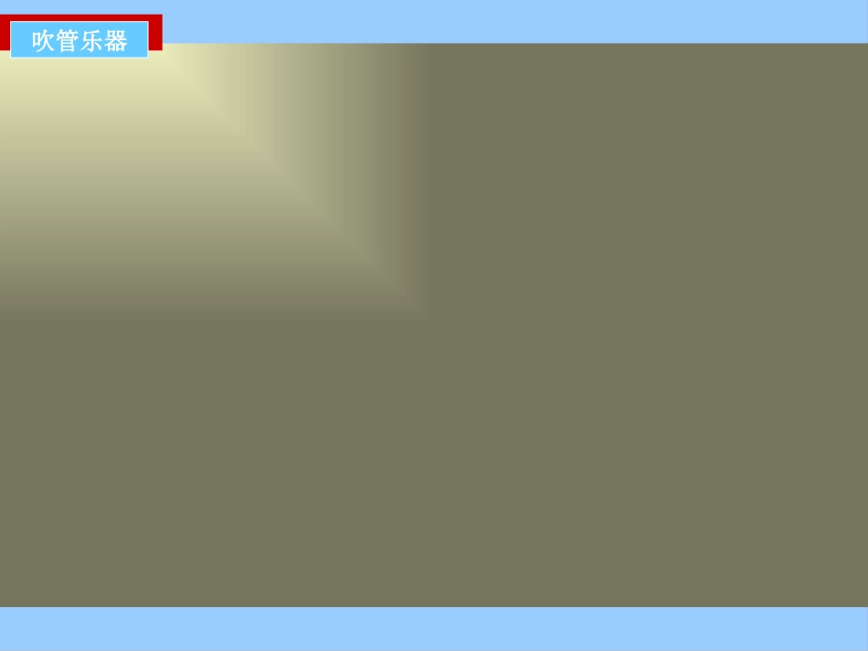 民族乐器分类2班3组_第2页