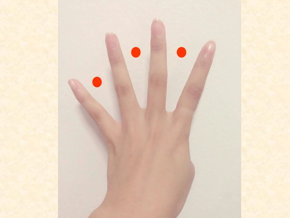 植树问题课件-_第2页