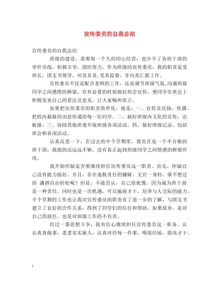 宣传委员的自我总结 