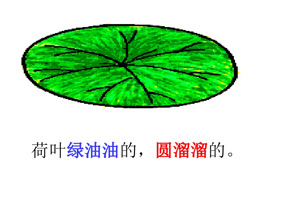 荷叶圆圆 (2)_第2页
