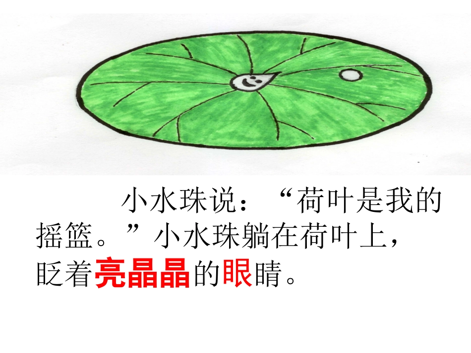 荷叶圆圆 (2)_第3页