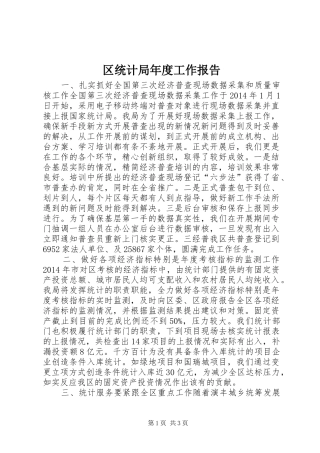 区统计局年度工作报告