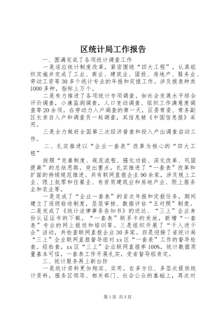区统计局工作报告