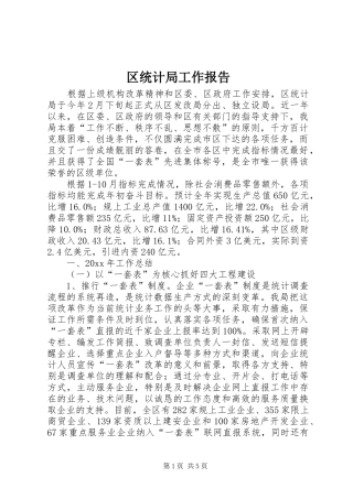 区统计局工作报告 (13)