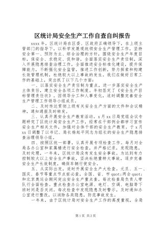 区统计局安全生产工作自查自纠报告