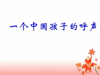 《一个中国孩子的呼声》教学课件1