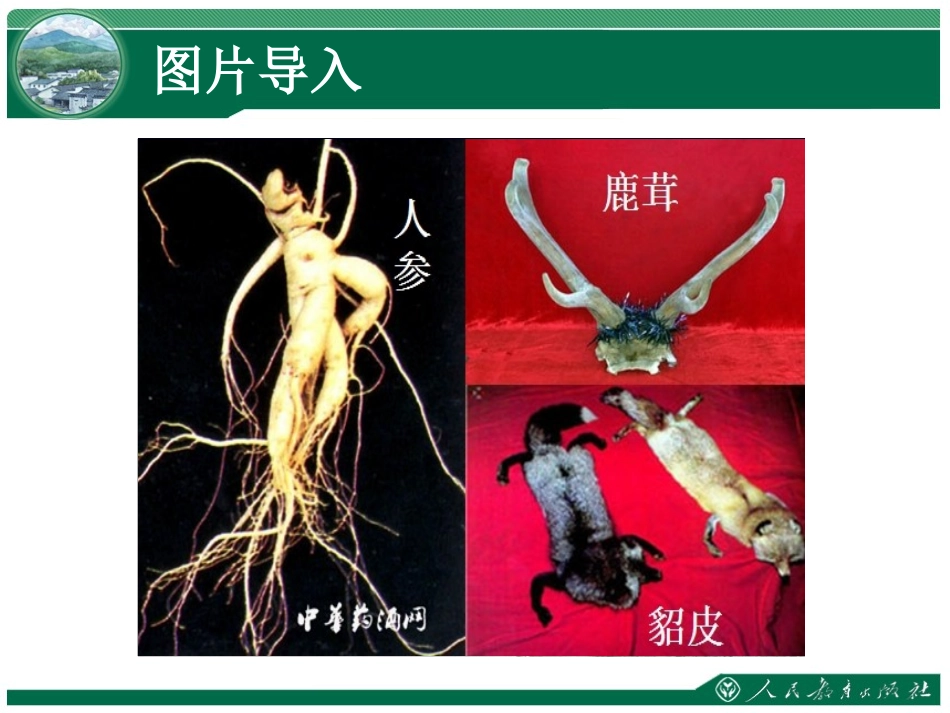 《东北三省》课件_第2页