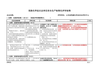 标准化评审记录表