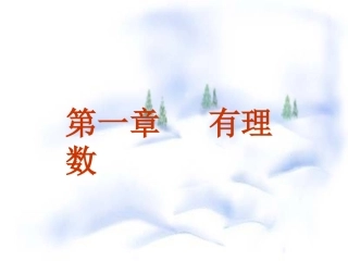 正数和负数 ()