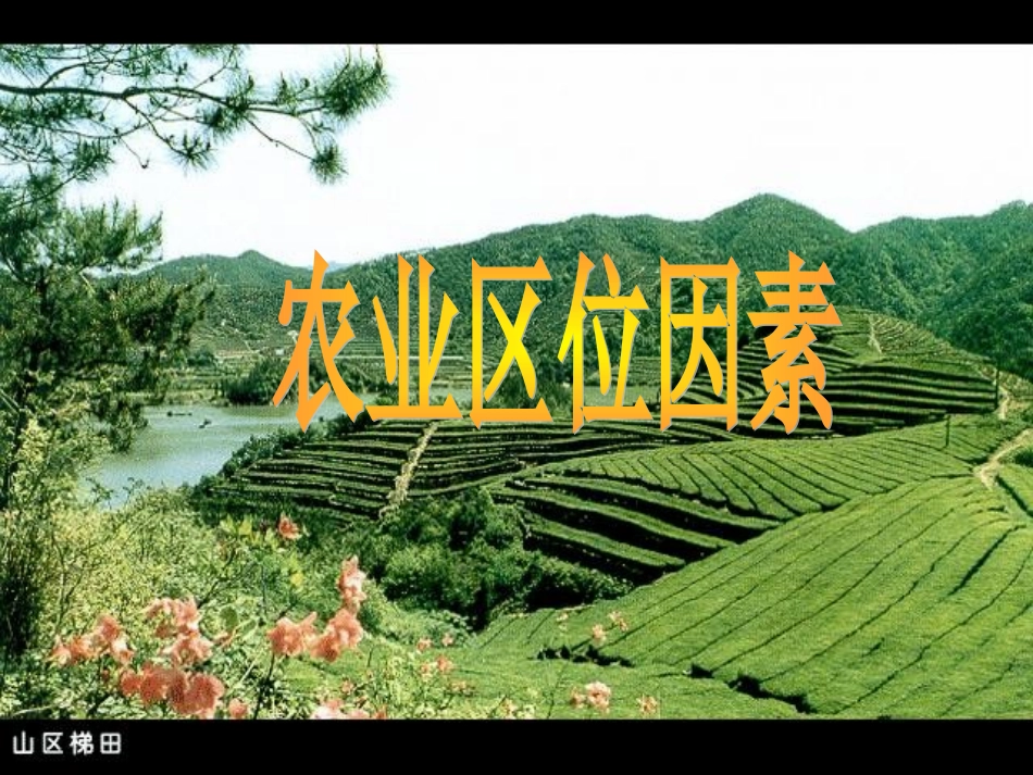 农业区位因素1_第2页