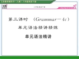 2013版新目标八下第三课时（Grammar--4c）单元语法精讲精练