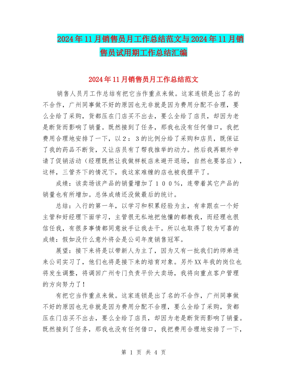 2024年11月销售员月工作总结范文与2024年11月销售员试用期工作总结汇编_第1页