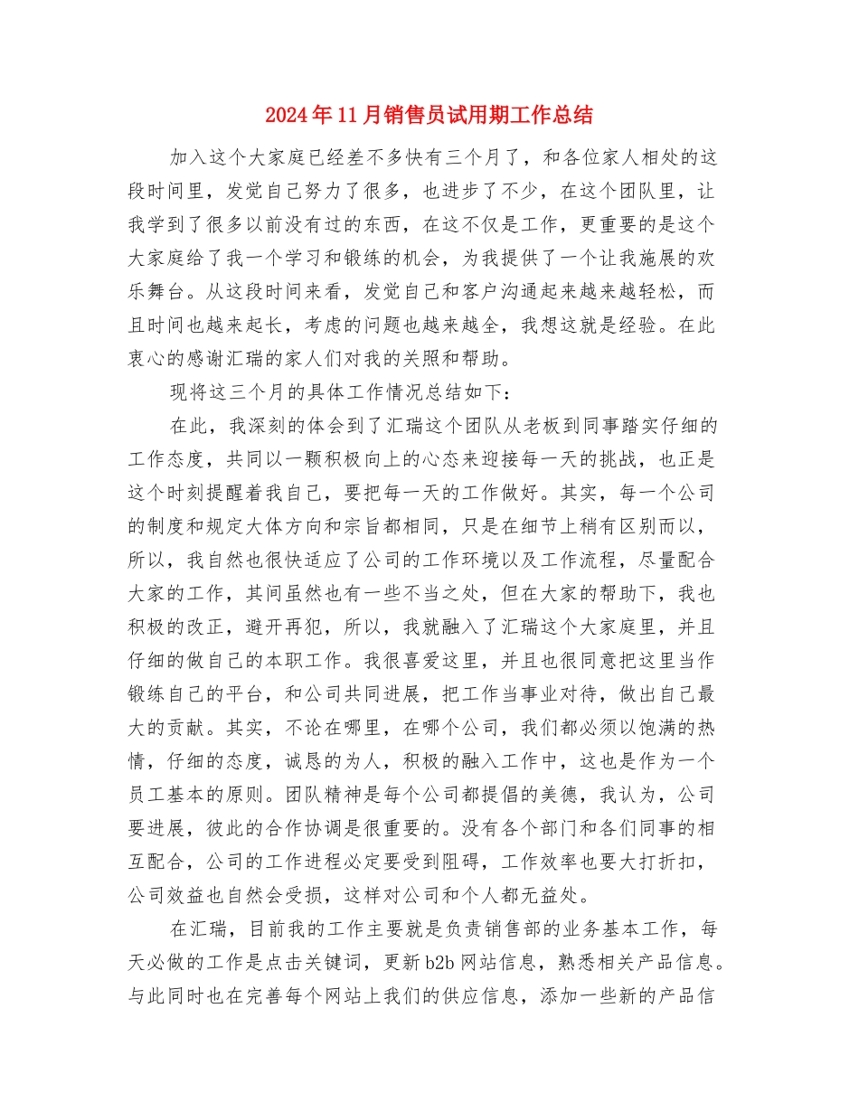 2024年11月销售员月工作总结范文与2024年11月销售员试用期工作总结汇编_第3页