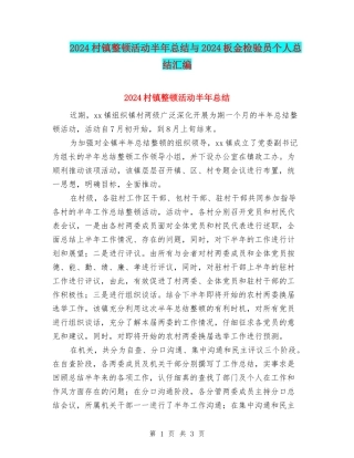 2024村镇整顿活动半年总结与2024板金检验员个人总结汇编