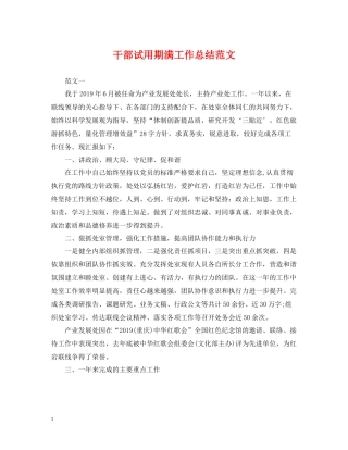 干部试用期满工作总结范文