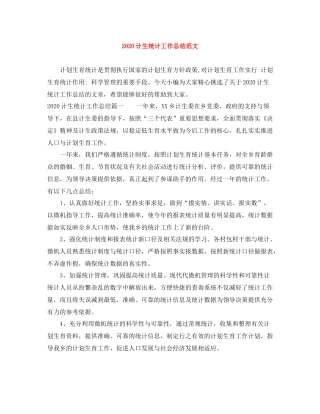 计生统计工作总结范文