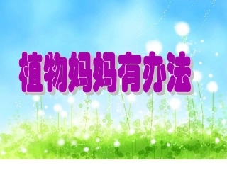 新植物妈妈有办法